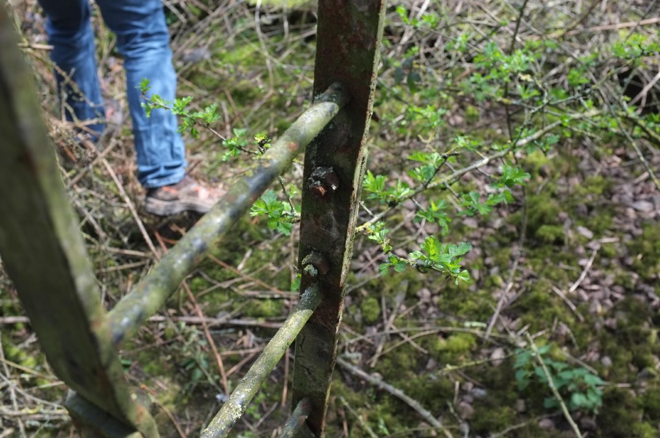 A close up of the somewhat rusty ladder going up to the top of the signal.