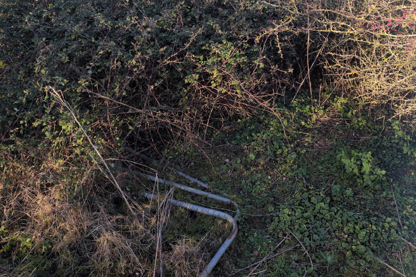 Some security fencing lying on the floor; thick shrubbery is now overtaking it.