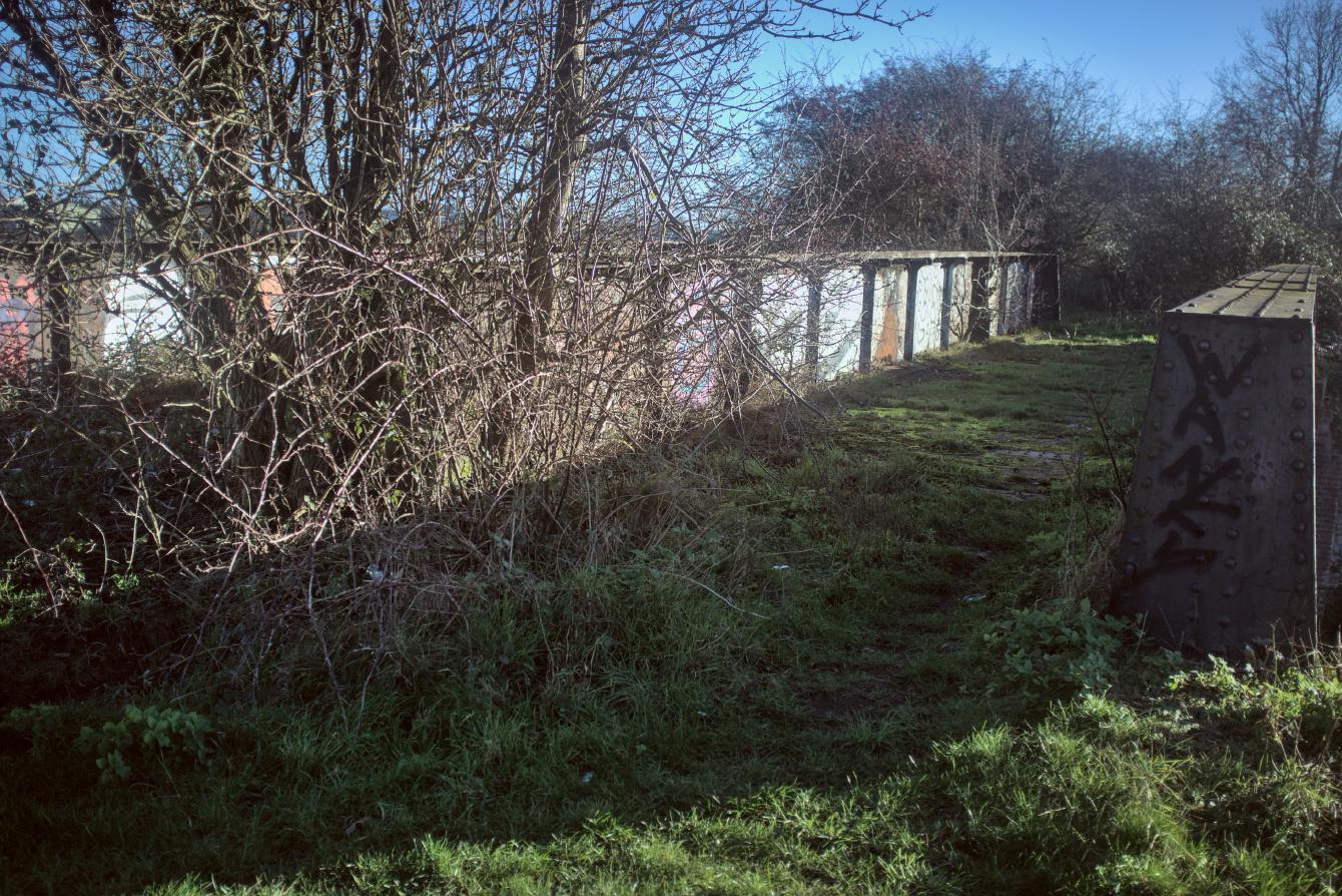 A view onto the bridge deck; at the near end, a tree is growing towards it, and on the far end undergrowth almost blocks off the end.