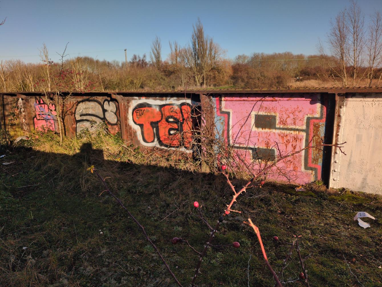 Another view onto the bridge deck, from the middle; a large thorny bush is growing through it, though not so large as to block passage.