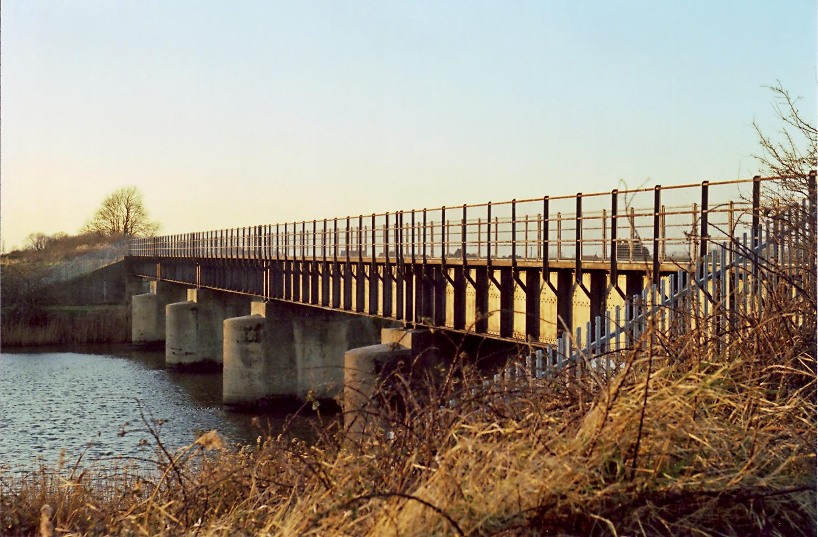 The bridge at sunset, with overgrowth close to the camera.