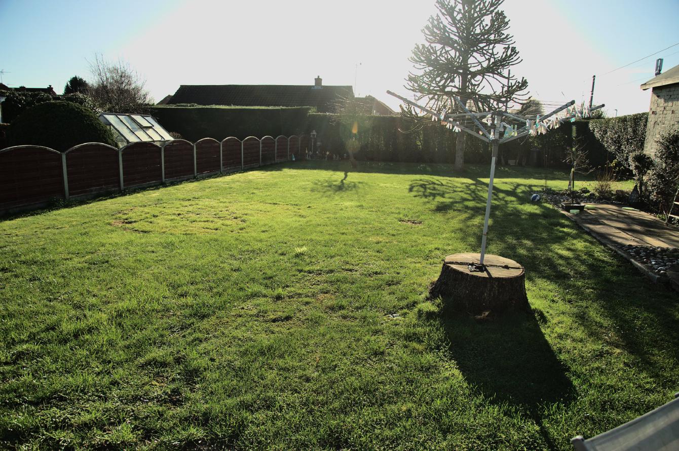 A view into the back garden; mostly grass, with a washing line tree, a hedge on the rear boundary, and a wooden fence on the left.