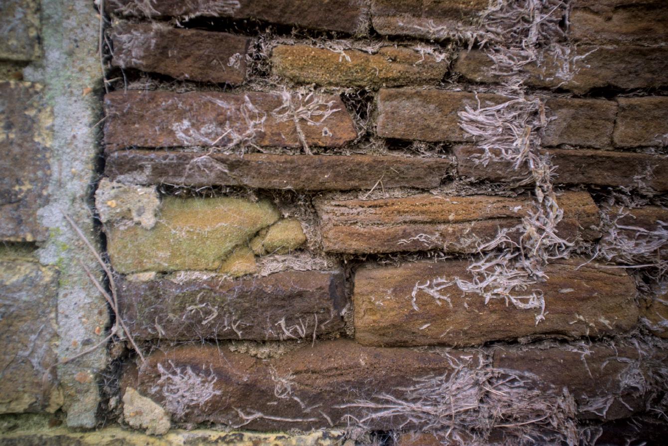 A close up of some carrstone walls, with signs of ivy having being removed.